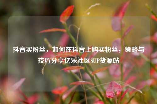 抖音买粉丝，如何在抖音上购买粉丝，策略与技巧分享亿乐社区SUP货源站  第1张